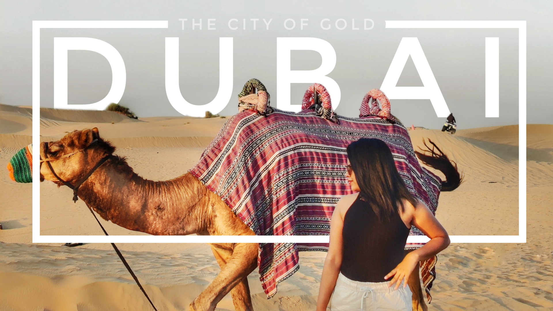 Don't Miss - 6 Free Things at the Dubai Mall Main Header Image